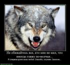 Фотография Казаченко Анастасии