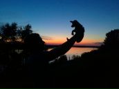 Фотография Петрова Алексея