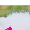 Інна Патраш фотография #7 (источник - https://vk.com/id155655471)