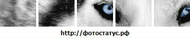 Фалалей Варлаамов фотография #2 (источник - https://vk.com/id8901131)