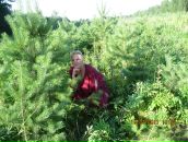 Фотография Старовойтовой Татьяны