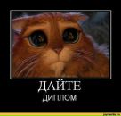 Фотография Романовой Ольги