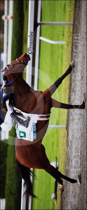 Дима Димкин фотография #4