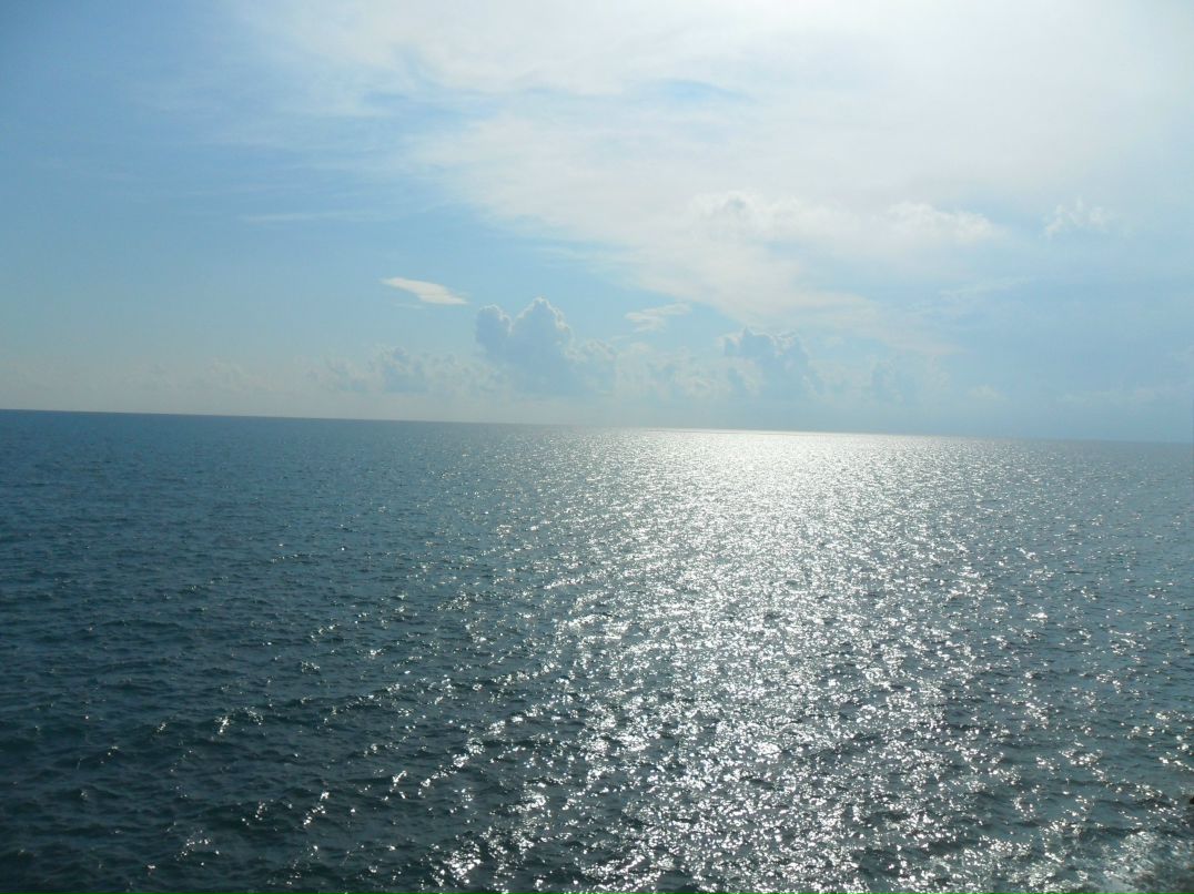 Любава Саськова фотография #39