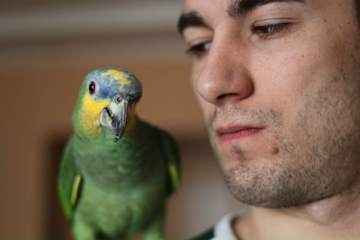 Иван Шмидт фотография #36