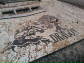 Фотография Шведа Юлия