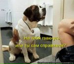 Фотография Вороновой Ольги