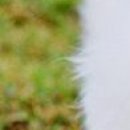 Вєталь Серйозний фотография #48 (источник - https://vk.com/id136859700)