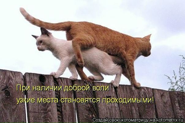 Дмитрий Беляев фото №38