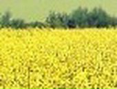 Маша Володимирівна фотография #23 (источник - https://vk.com/id87907859)