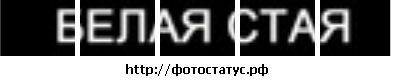 Славік Кравчук фотография #33 (источник - https://vk.com/id116990250)