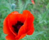 Ирина Бабенко фотография #23 (источник - https://vk.com/id2244513)