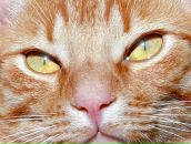 Вадім Масик фотография #42 (источник - https://vk.com/id150856199)