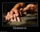 Вікуся Аляпушкіна фотография #10 (источник - https://vk.com/id69997303)