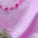 Іванка Зубенко фотография #37 (источник - https://vk.com/id100080283)