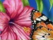 Елена Лебедева фотография #14 (источник - https://vk.com/id78795101)