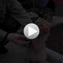 Надія Кондратюк фотография #50 (источник - https://vk.com/id168484176)