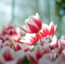 Маріанна Луцик фотография #11 (источник - https://vk.com/id168732274)