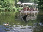 Борис Бедрій фотография #21 (источник - https://vk.com/id70586968)