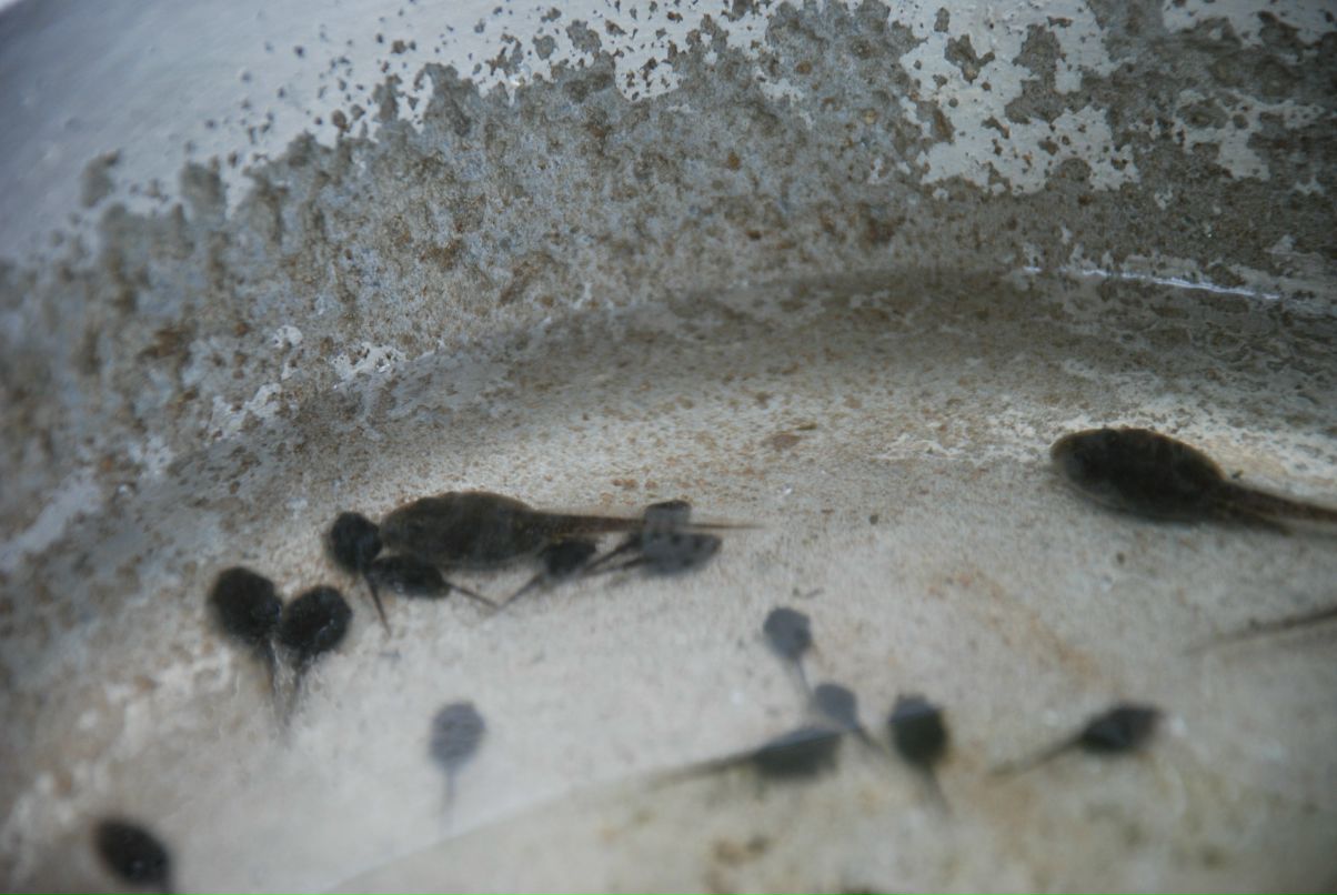 Илья Ткаленко фотография #38