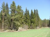 Иван Амельченко фотография #28 (источник - https://vk.com/id684343)