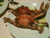 Фотография Багровой Ани