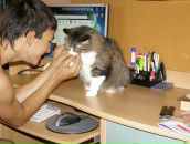 Фотография  