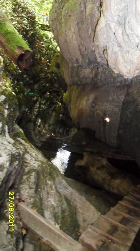 Ольга С фотография #43