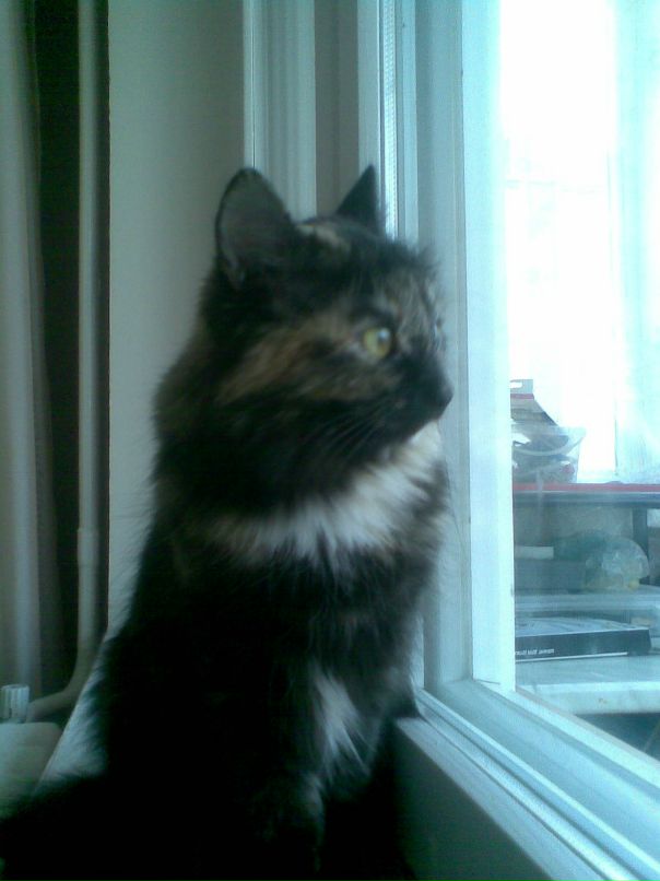 Наталья Иваненко фотография #16