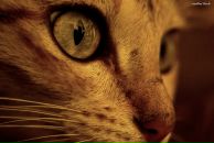 Андрей Потапенко фотография #39 (источник - https://vk.com/id4253564)