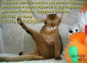 Віталій Равлюк фотография #8 (источник - https://vk.com/id202395682)