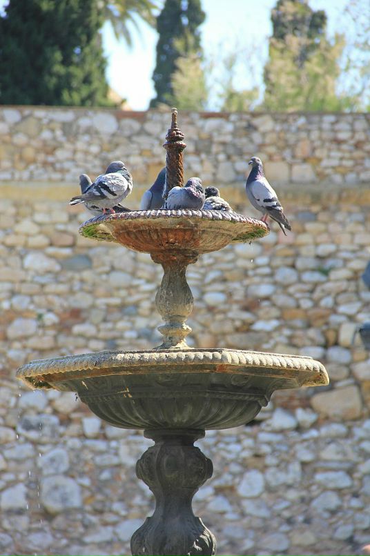 Сергей Мешков фотография #35