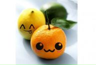 Наташка Кушнір фотография #31 (источник - https://vk.com/id79251626)