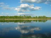 Фотография Евстигнеевой Елены