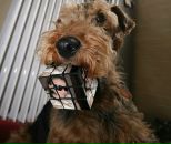 Ліка Ася фотография #22 (источник - https://vk.com/id86936281)