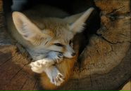 Фотография Олеси Олеси