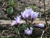 Ангеліна Байрак фотография #1