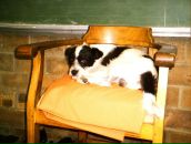 Фотография Старосека Павла