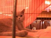 Фотография Дереганова Настюшка