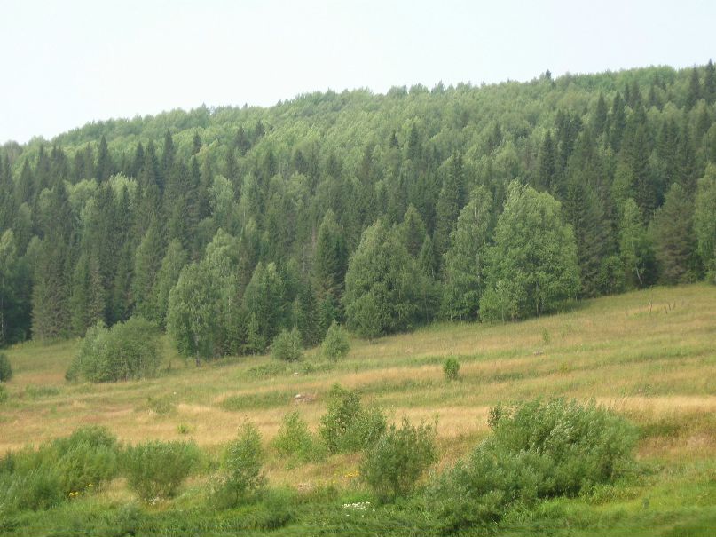 Валентин Коваленко фотография #40