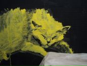 Фотография Шмалия Андрея