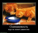 Андрей Лермонтов фотография #12 (источник - https://vk.com/id3879905)