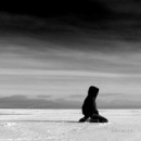 Фотография Брейтенфельд Кристины