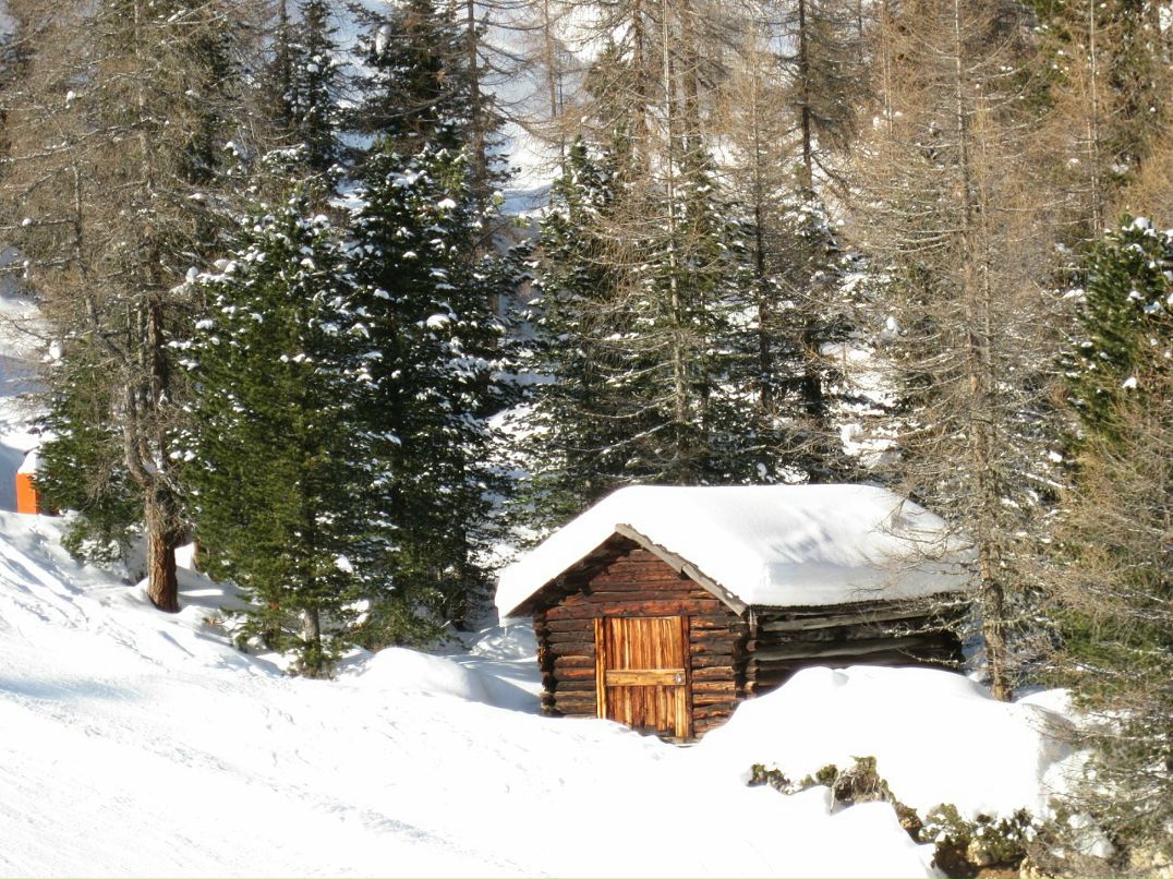 Григорий Поляков фотография #25