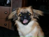 Олексій Степчук фотография #17 (источник - https://vk.com/id40079081)