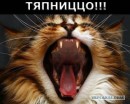 Фотография Chichek Olegek