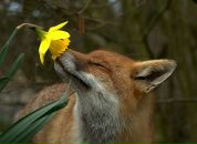 Фотография Батюшковой Марии