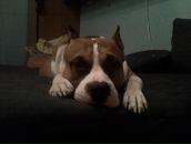 Фотография Пыльгука Ильи