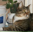 Ольга Ефанова фотография #46 (источник - https://vk.com/id16575743)