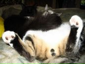 Фотография  